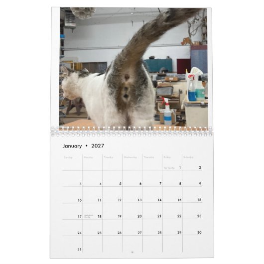 2022 Katzen-Hintern-Kalender Kalender (Jan 2027)