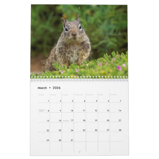2022 Mauerkalender für Wildtiere Kalender (Mär 2026)