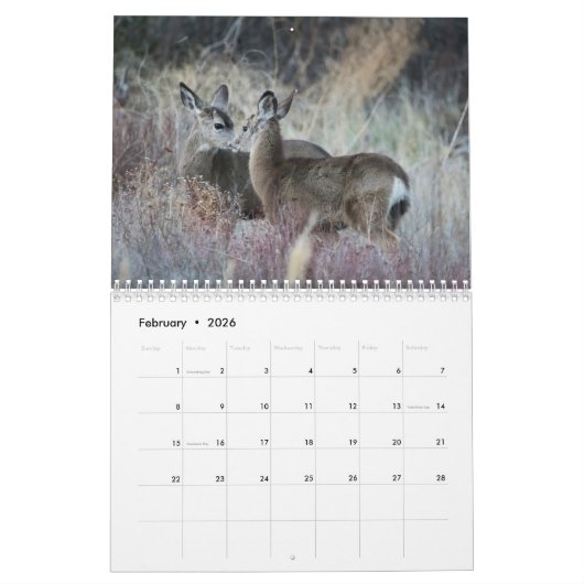 2022 Mauerkalender für Wildtiere Kalender (Feb 2026)