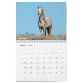 2022 MustangWild Calendar - Wild West  Kalender (Jan 2027)