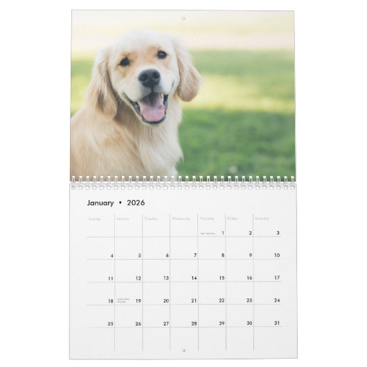 2022 Neubeginn des neuen Jahres Modernes, einfache Kalender (Jan 2026)