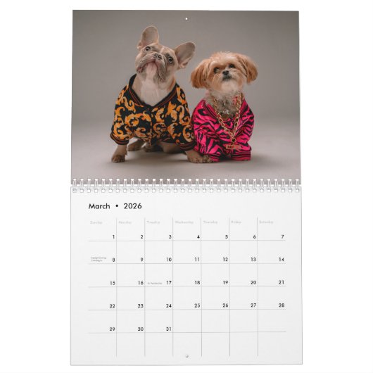 2022 Neubeginn Neujahr Modernes Foto Kalender (Mär 2026)