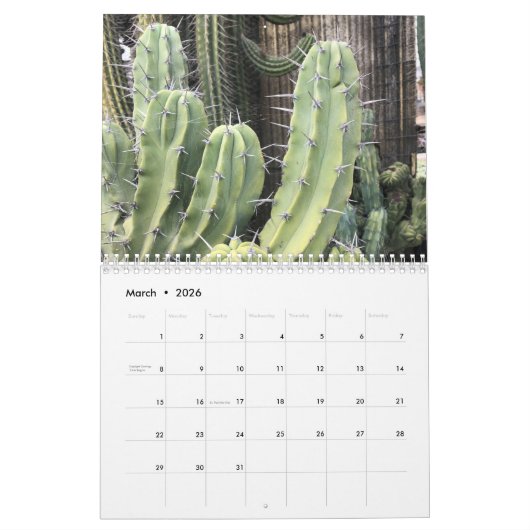 2022 Pflanze-Kalender mit farbenfrohen Säkulenten Kalender (Mär 2026)