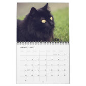 2022 Schöne schwarze Katzen 12-monatiger Wall-Kale Kalender (Jan 2027)