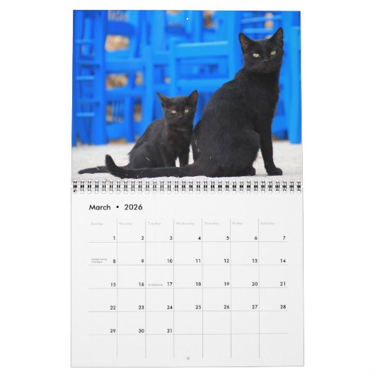 2022 Schöne schwarze Katzen 12-monatiger Wall-Kale Kalender (Mär 2026)