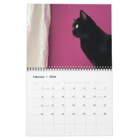 2022 Schöne schwarze Katzen 12-monatiger Wall-Kale Kalender (Feb 2026)