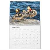2022 Schöner Geburtstagskalender Kalender (Jan 2027)