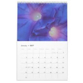 2022: SCHÖNHEIT DES BLUMS KALENDER (Jan 2027)