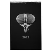 2022 Schwarz-Weiß-Insekten im minimalistischen Sti Kalender (Titelbild)