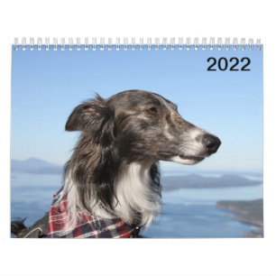 2022 Silken Windhounds (Kopfschüsse) Kalender