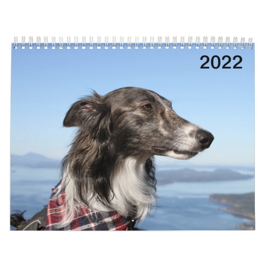 2022 Silken Windhounds (Kopfschüsse) Kalender (Titelbild)