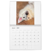 2022 Silken Windhunde (gekleidet/Albern) Kalender (Mär 2027)