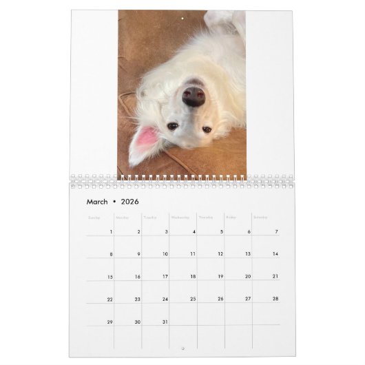 2022 Silken Windhunde (gekleidet/Albern) Kalender (Mär 2026)
