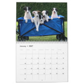 2022 Silken Windhunde (Welpen) Kalender (Jan 2027)