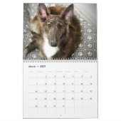 2022 Silken Windhunde (Welpen) Kalender (Mär 2027)
