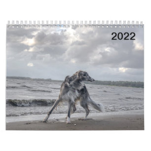2022 Silken Windhunden (mehrere Hunde und in Aktio Kalender