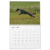 2022 Silken Windhunden (mehrere Hunde und in Aktio Kalender (Mär 2026)