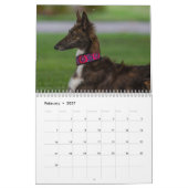 2022 - Silken Windhunden (Zurück) Kalender (Feb 2027)