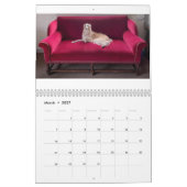 2022 - Silken Windhunden (Zurück) Kalender (Mär 2027)
