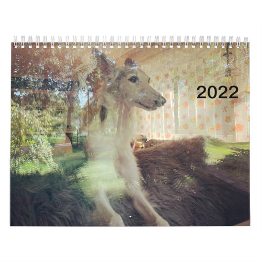 2022 - Silken Windhunden (Zurück) Kalender (Titelbild)