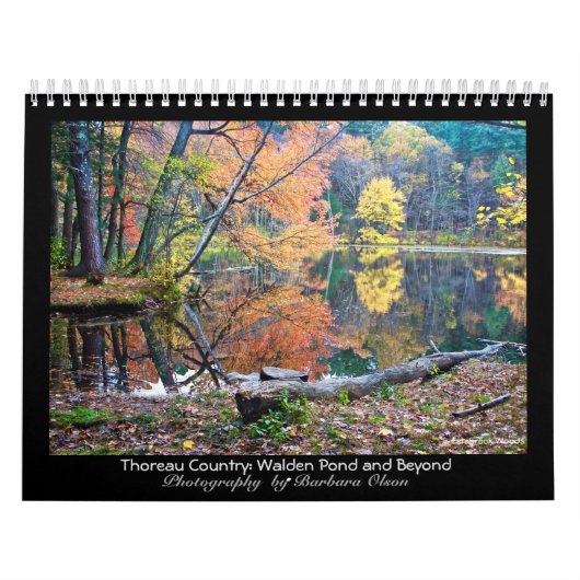 2022 Thoreau Land: Waldenteich und darüber hinaus: Kalender (Titelbild)