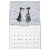2022 UK Wildlife Calendar Kalender (Mär 2027)