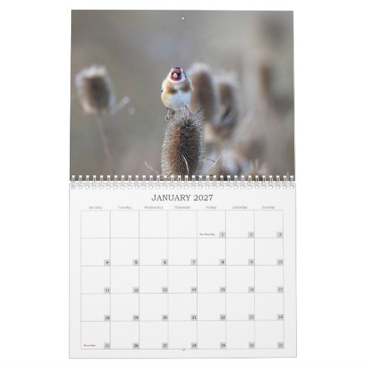 2022 UK Wildlife Calendar Kalender (Jan 2027)