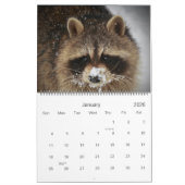 2022  Wild Blue Yonder Raccoon Rescue   Kalender (Jan 2026)