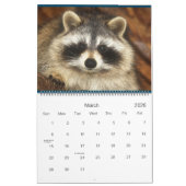 2022  Wild Blue Yonder Raccoon Rescue   Kalender (Mär 2026)