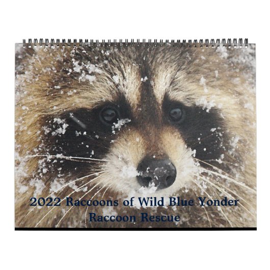 2022  Wild Blue Yonder Raccoon Rescue   Kalender (Titelbild)
