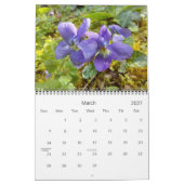 2022 wird farbenfroher Kalender (Mär 2027)