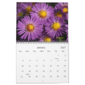 2022 wird farbenfroher Kalender (Jan 2027)