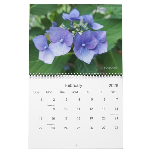 2022 wird farbenfroher Kalender (Feb 2026)