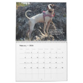 2022 Zeiger des Heart PointerRescue Org Kalender (Feb 2026)