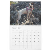 2022 Zeiger des Heart PointerRescue Org Kalender (Feb 2027)