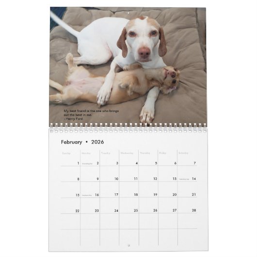 2022 Zeiger & Pals PointerRescue Org Kalender (Feb 2026)