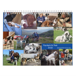 2022 Zeiger & Pals PointerRescue Org Kalender