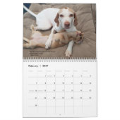 2022 Zeiger & Pals PointerRescue Org Kalender (Feb 2027)