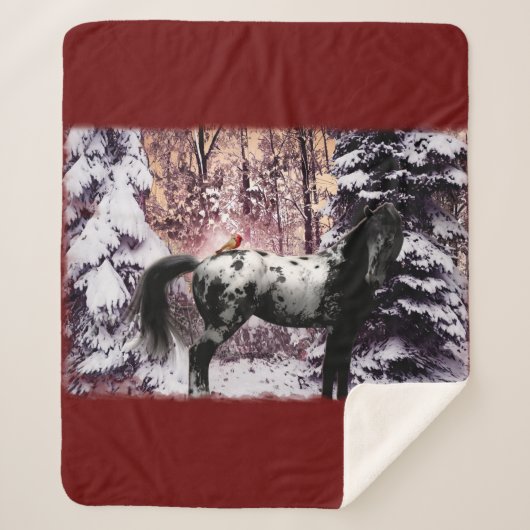 2023 Appaloosa & Kardinals Sherpadecke (Vorderseite)