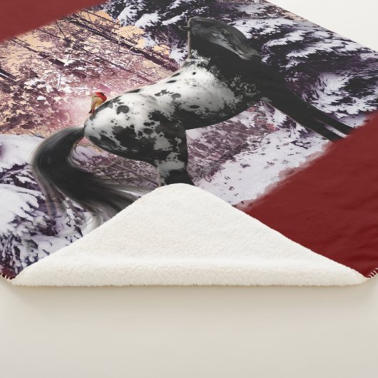 2023 Appaloosa & Kardinals Sherpadecke (3/4)