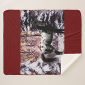 2023 Appaloosa & Kardinals Sherpadecke (Vorderseite (Horizontal))