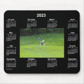 2023 Ball Playing Dog Neon Foto Calendar von Janz Mousepad (Vorne)