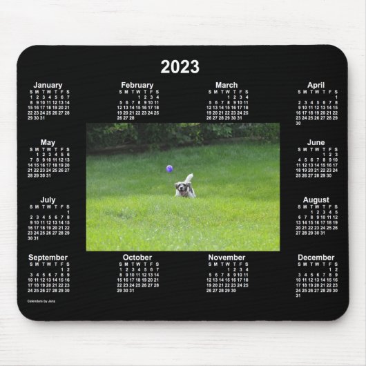 2023 Ball Playing Dog Neon Foto Calendar von Janz Mousepad (Vorne)