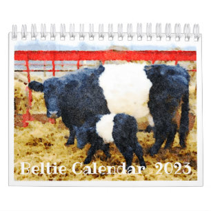 2023 Belted Galloway Beltie Stripe Kuh Rind Kalender
