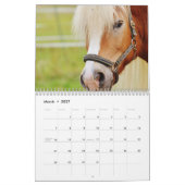 2023 Bilder von Pferden Kalender (Mär 2027)