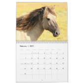 2023 Bilder von Pferden Kalender (Feb 2027)