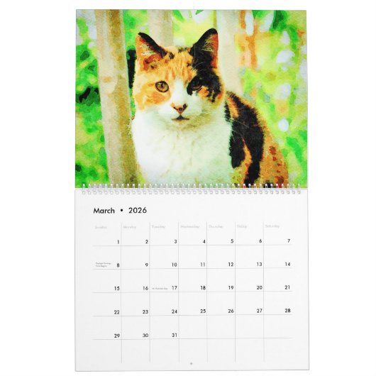 2023 Calico Tortoiseshell Katzenbesitzer Geschenk Kalender (Mär 2026)