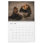 2023 California Sea Otters Wall Calendar Kalender (Mär 2026)