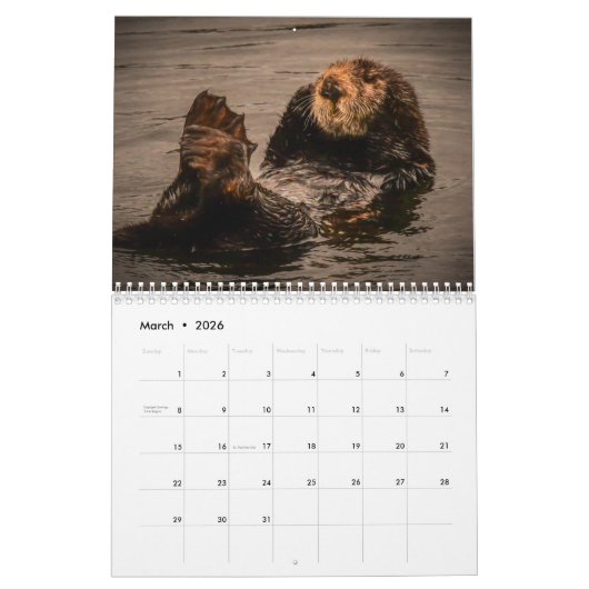 2023 California Sea Otters Wall Calendar Kalender (Mär 2026)
