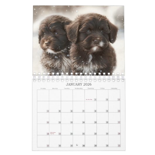 2023 Chocolate Havanese Puppy Calendar von HavaHug Kalender (Jan 2026)